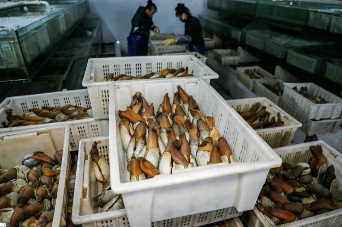 海鮮加工清洗廢水處理設(shè)備-樂中環(huán)保 海鮮加工清洗廢水處理設(shè)備-樂中環(huán)保