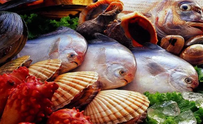 海產品加工污水處理設備哪家好 海產品加工污水處理設備哪家好